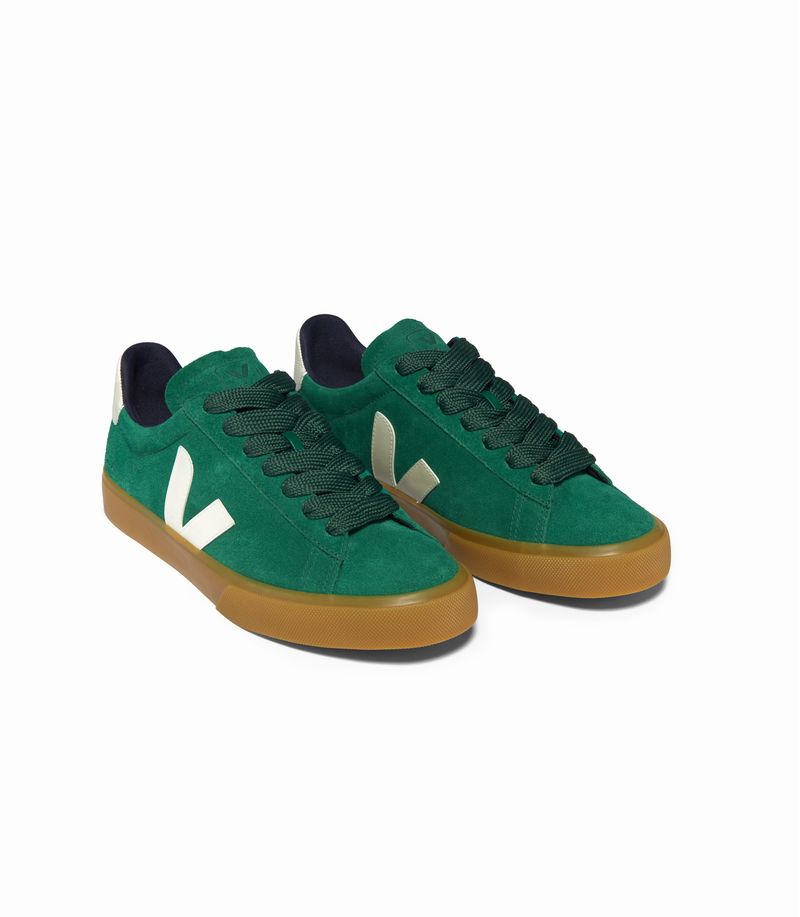 VEJA_CP0303695_top