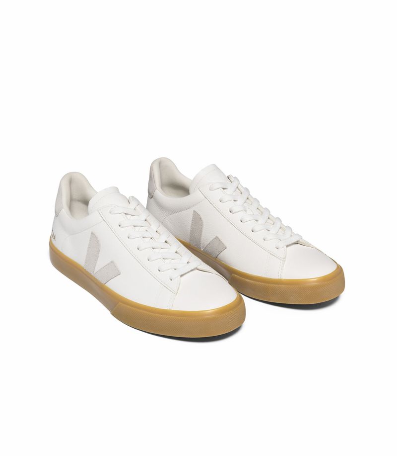 VEJA_CP0503147_top