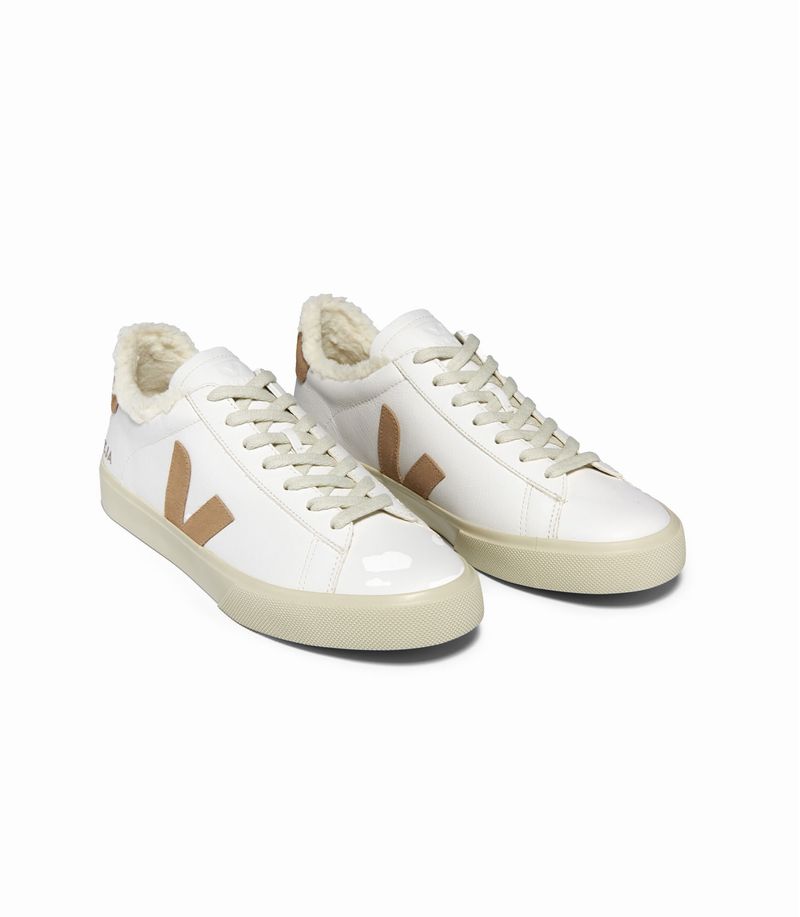 VEJA_CW0503830_top