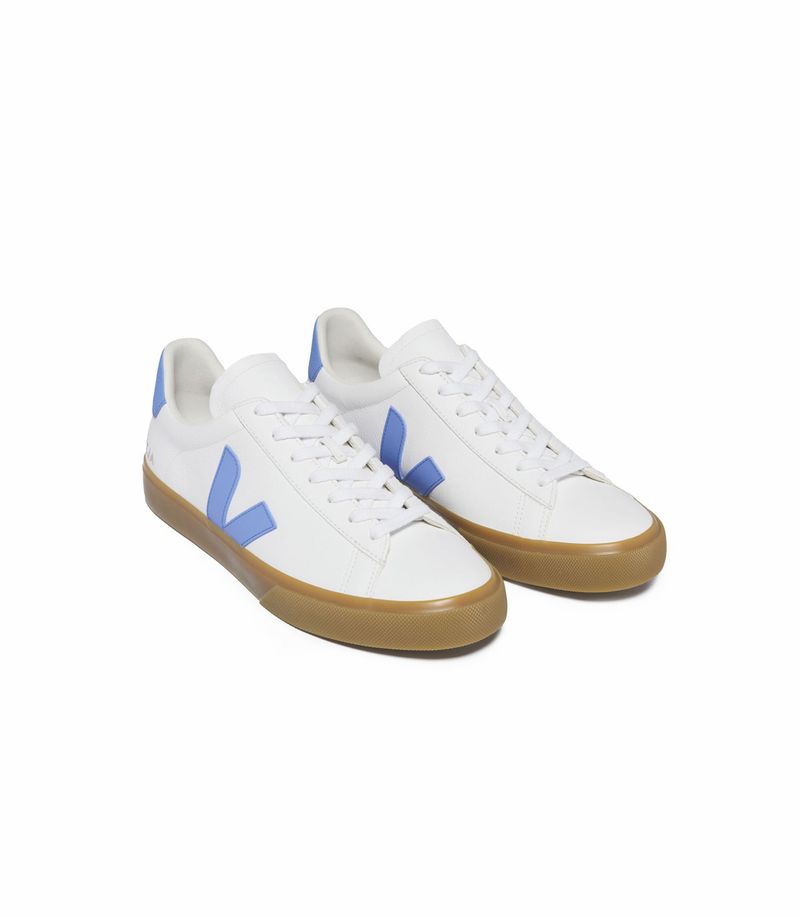 VEJA_CP0503645_top