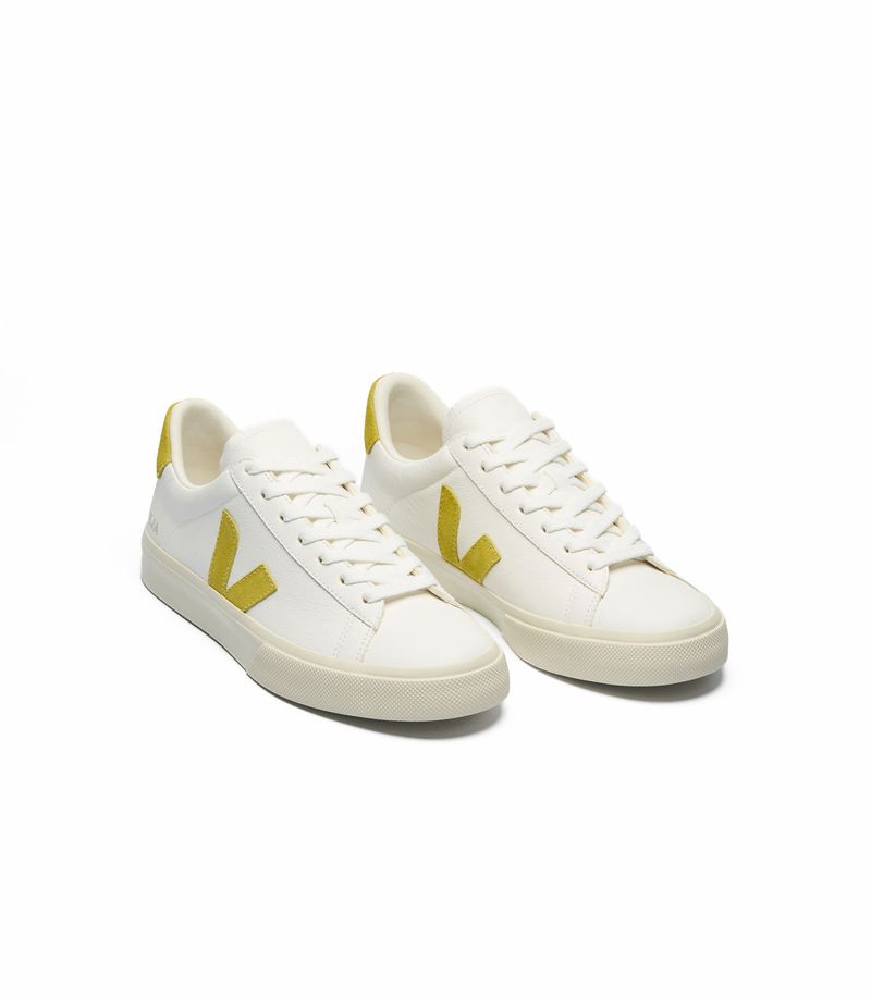 VEJA_CP0503887_top