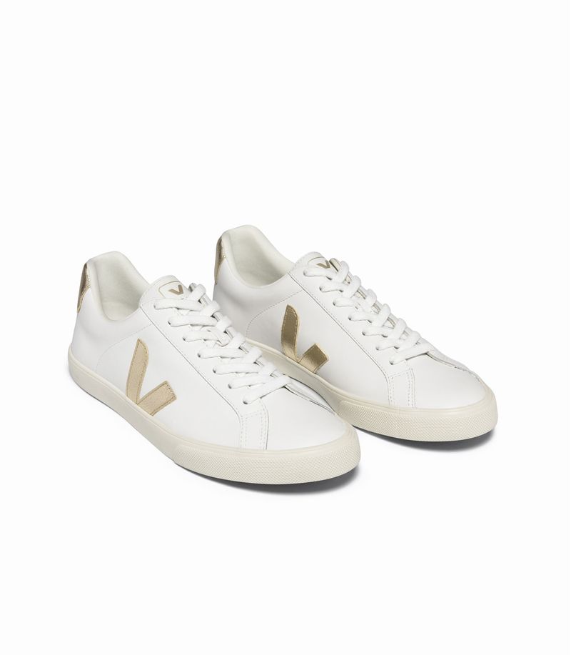 VEJA_EO0202490_top