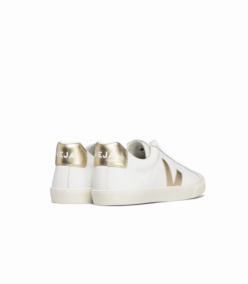 VEJA_EO0202490_back