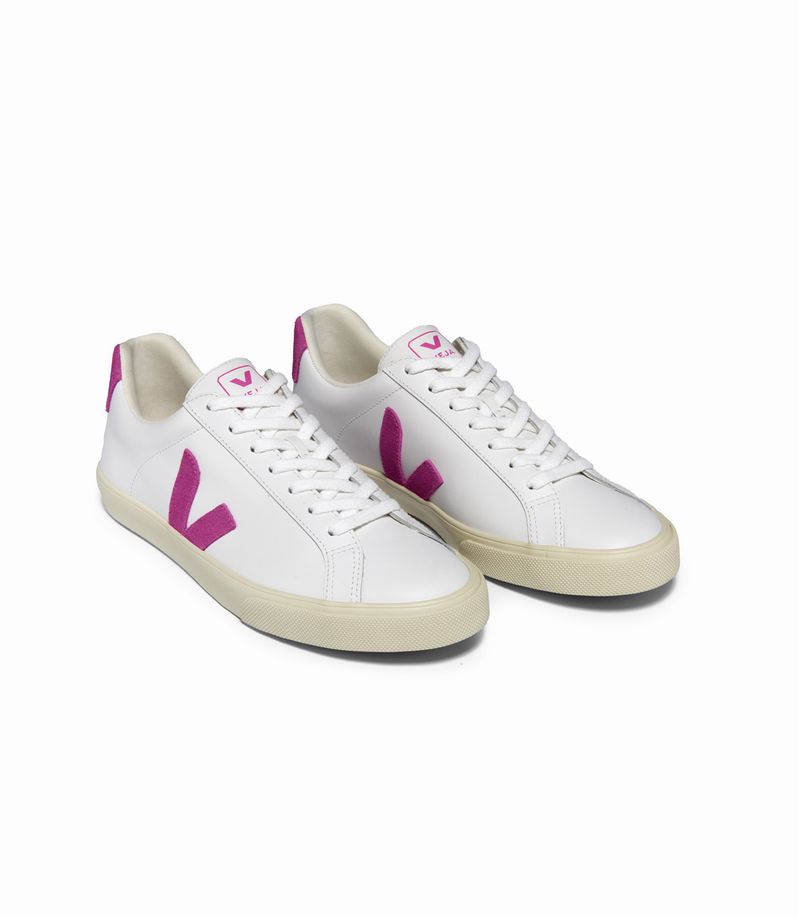 VEJA_EO0203712_top