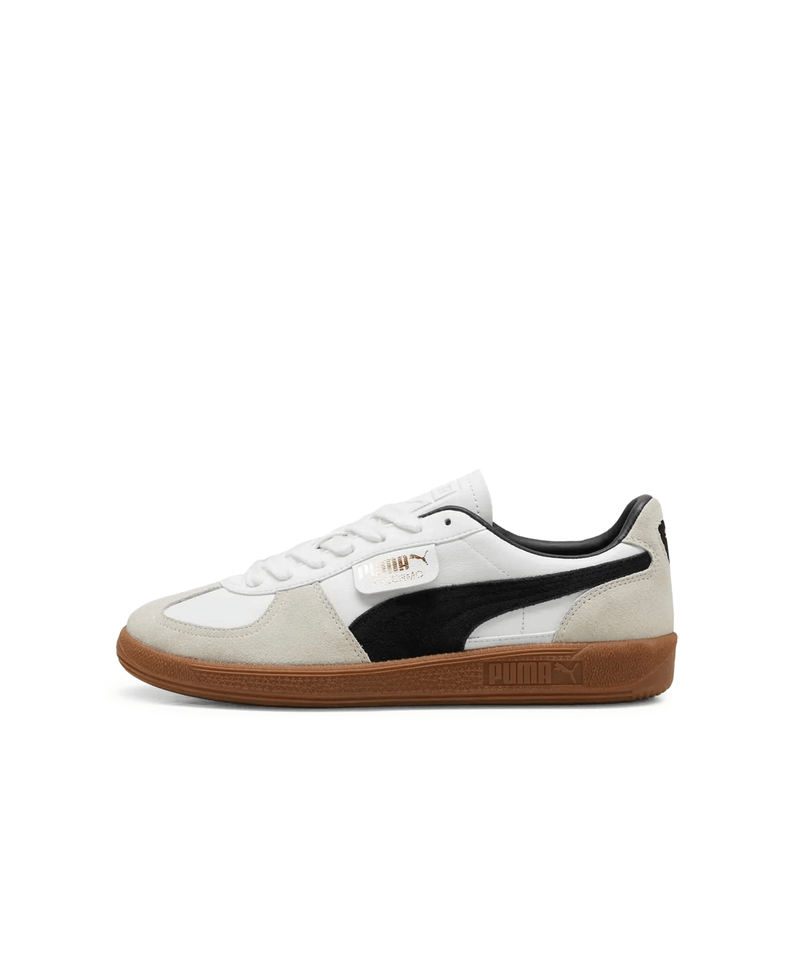 396464.jpg--5--copy